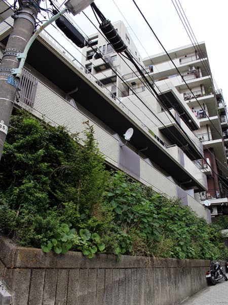 麻布台ロイヤルプラザ 4