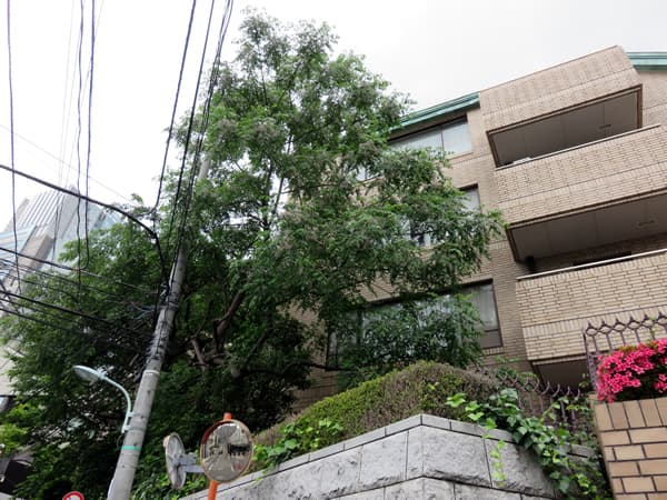 赤坂氷川町パークマンション 3