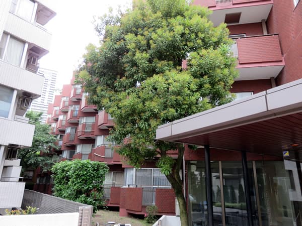 チュリス氷川坂 2