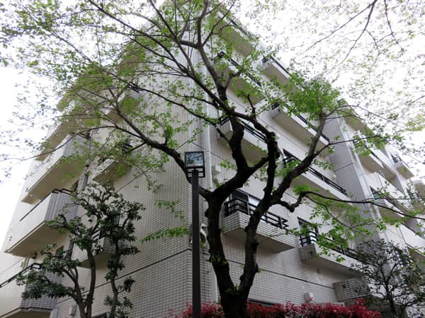 ロビーシティ相模大野5番街15号棟 3