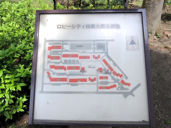 ロビーシティ相模大野5番街13号棟 9