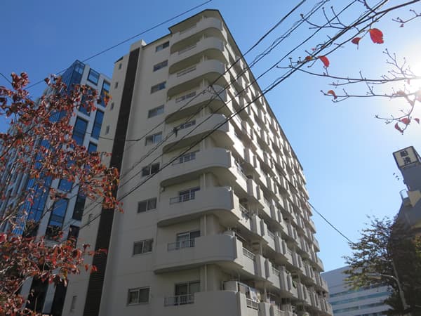 光シャンブル品川東八ツ山公園 9