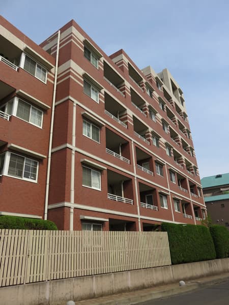 アデニウム町田 2