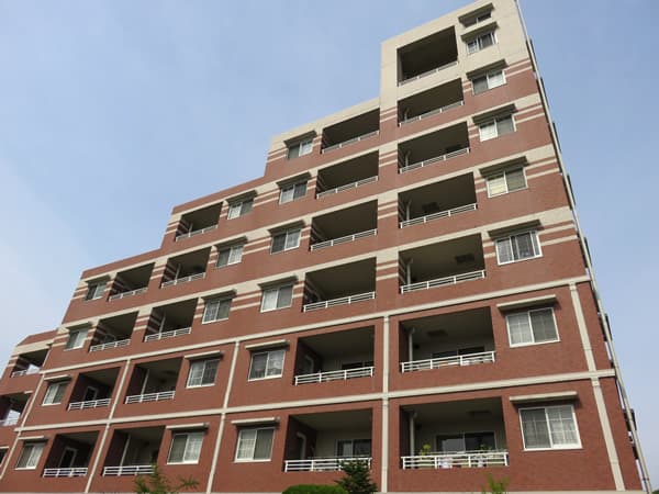 アデニウム町田 3