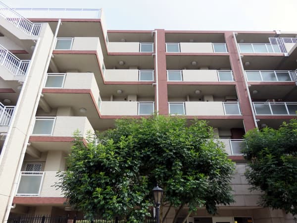 アデニウム町田 7