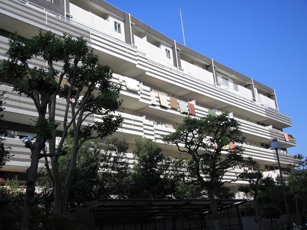 ベルドゥムール溝の口森林公園 6