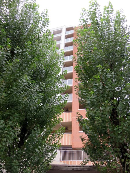 エルフィーノ横濱根岸ディライトコート 6