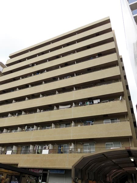 ダイアパレス根岸 4