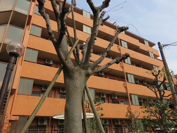 ライオンズヒルズ町田1番館 3