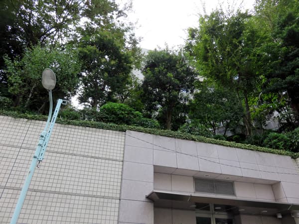 パークコート元麻布ヒルトップレジデンス 1