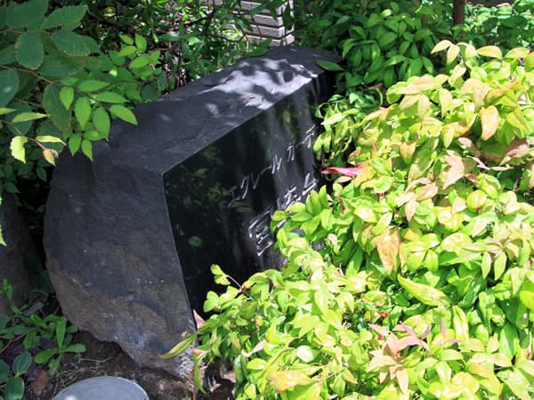 エクレールガーデン宮崎台 8