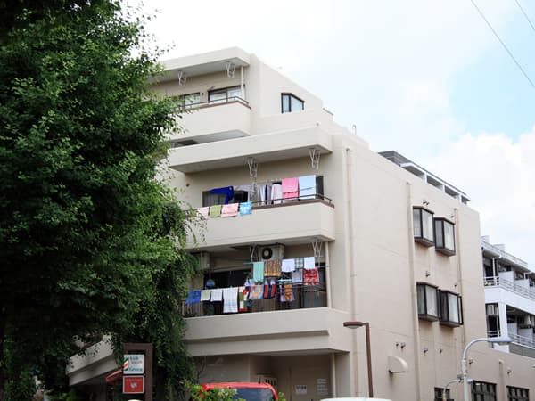 宮崎台ルピナス 4