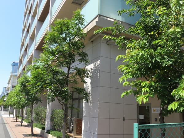 パークタワー豊洲 6