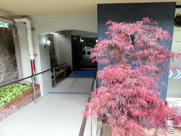 パラッツオ赤坂 5