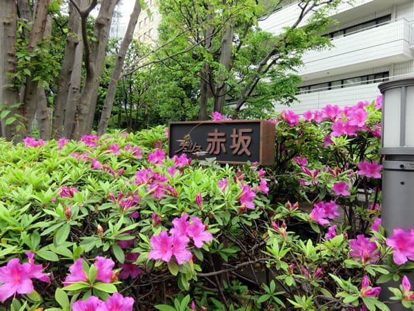 チュリス赤坂 8