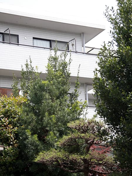 ニューウェルコート宮前平 5