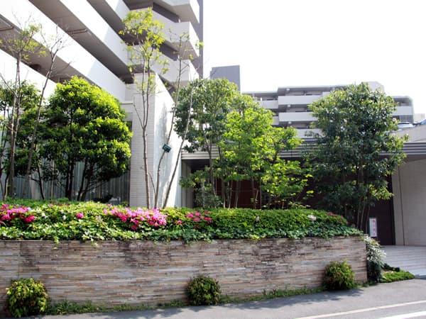 サンクタス宮崎台 10