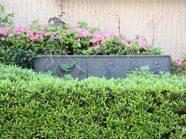 カルム宮崎台 7