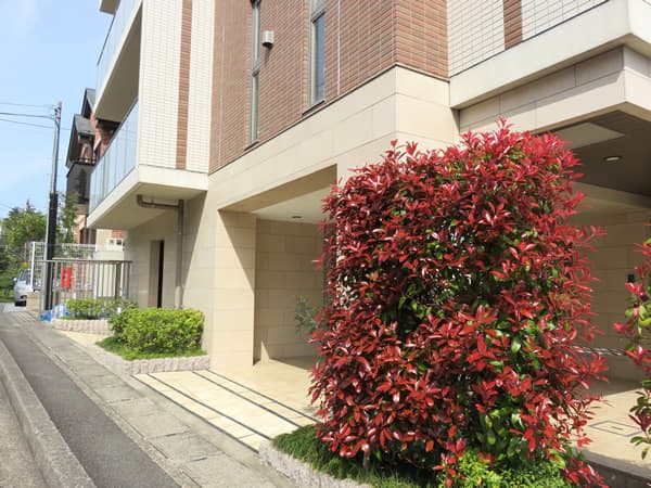 ミオカステーロ青葉台 5