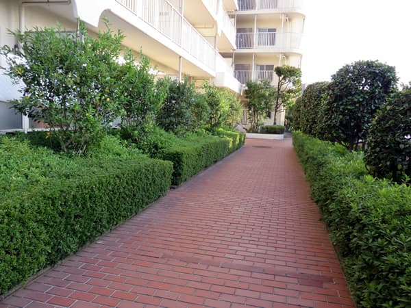 イトーピア宮前平マンション 6