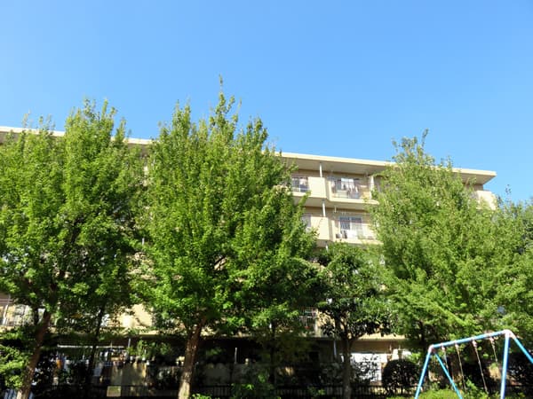 宮前平アベリア4号棟 5