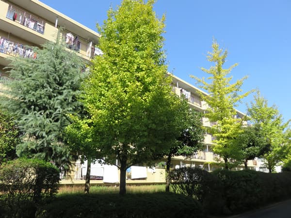 宮前平アベリア3号棟 5