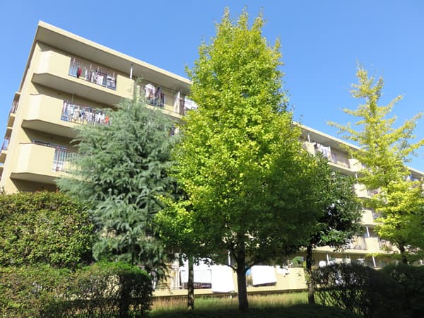 宮前平アベリア3号棟 6