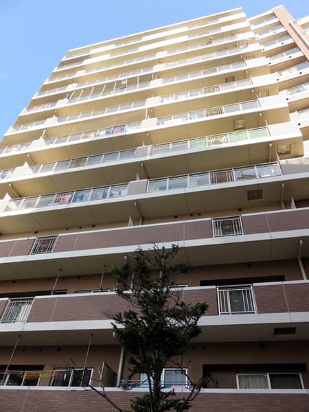 ミオカステーロ小田急相模原 4