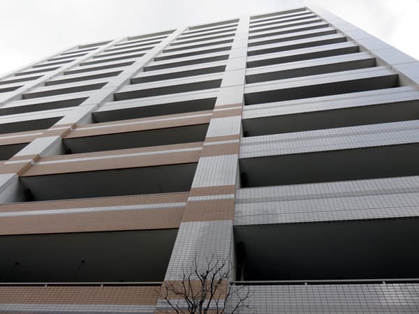 アデニウム小田急相模原 5