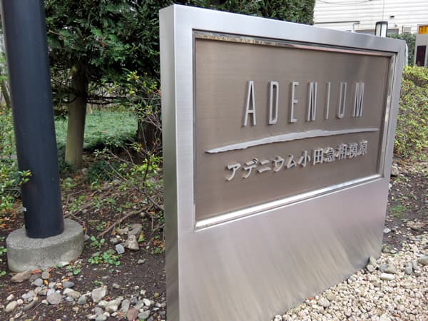 アデニウム小田急相模原 10