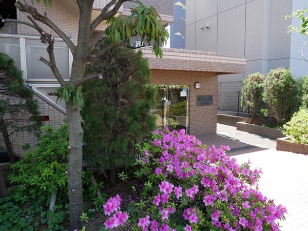 モナーク浜田山 5