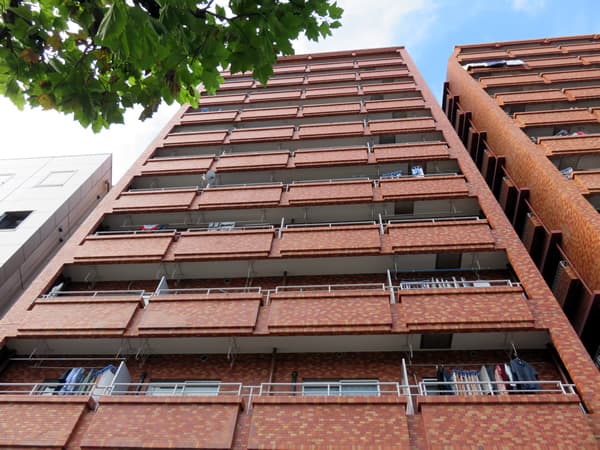 エクセル入谷2号館 1