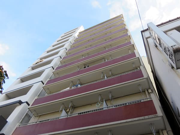 根岸武蔵野マンション 1