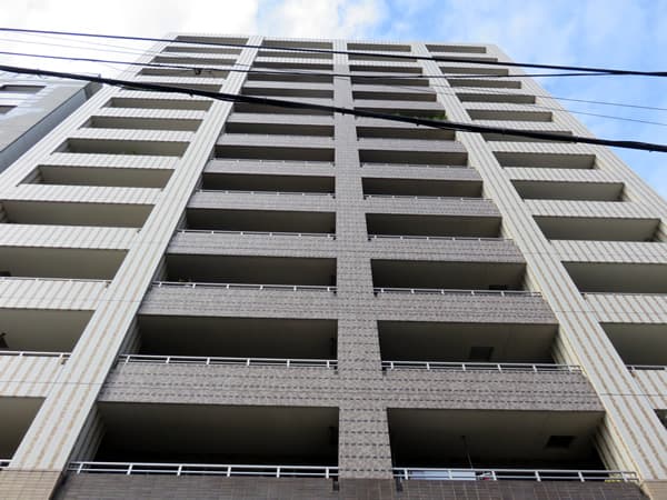 アデニウム入谷ステーションファースト 1