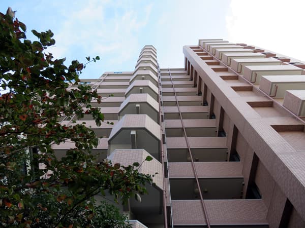 ハイホーム入谷 8