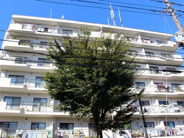 ハイツ保土ヶ谷 1