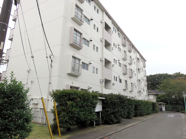 東向地団地1号棟 2