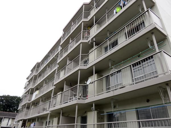 東向地団地1号棟 4