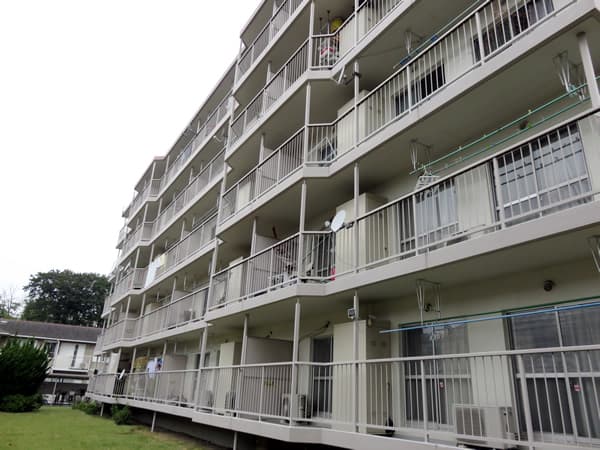 東向地団地1号棟 5