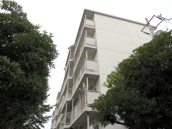 東向地団地2号棟 4