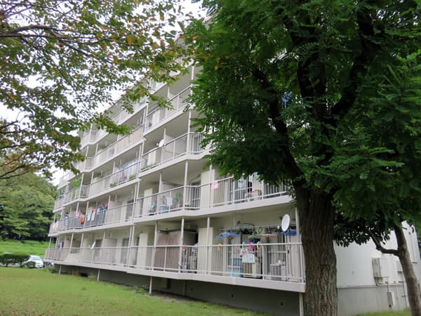 東向地団地4号棟 3