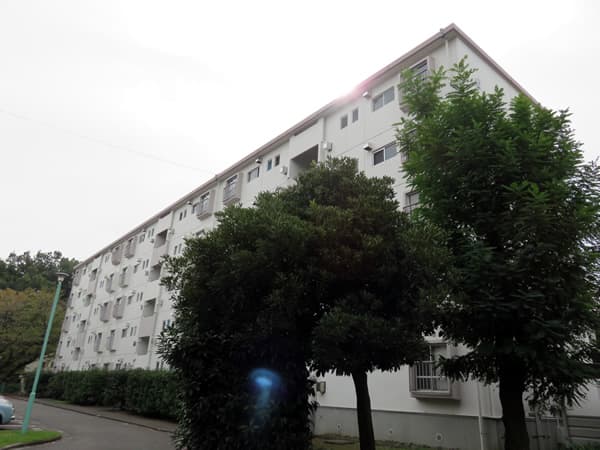 東向地団地6号棟 3