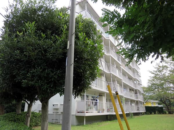 東向地団地7号棟 4