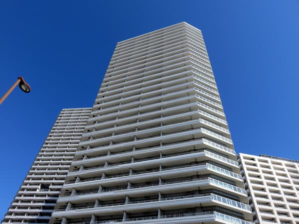 コットンハーバータワーズシーウエスト 5