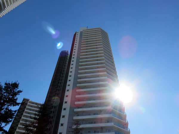 コットンハーバータワーズシーウエスト 7