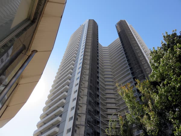 コットンハーバータワーズシーウエスト 8