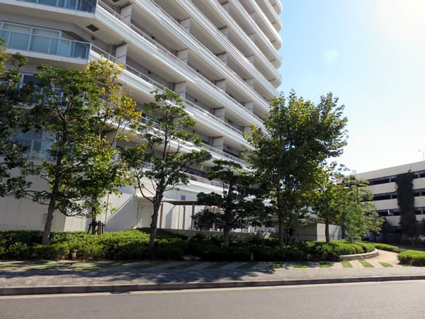 コットンハーバータワーズシーウエスト 9