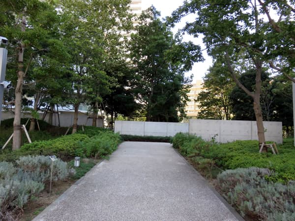 コットンハーバータワーズシーウエスト 12