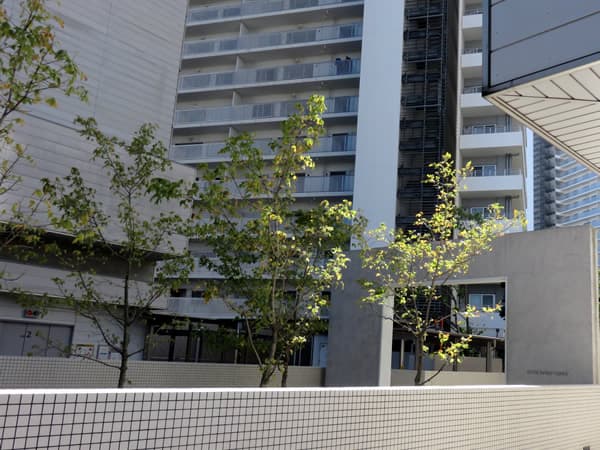 コットンハーバータワーズシーウエスト 13