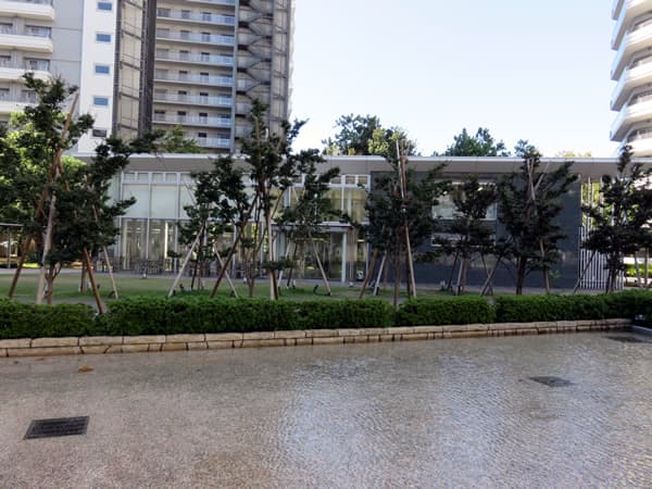 コットンハーバータワーズベイ イースト 13